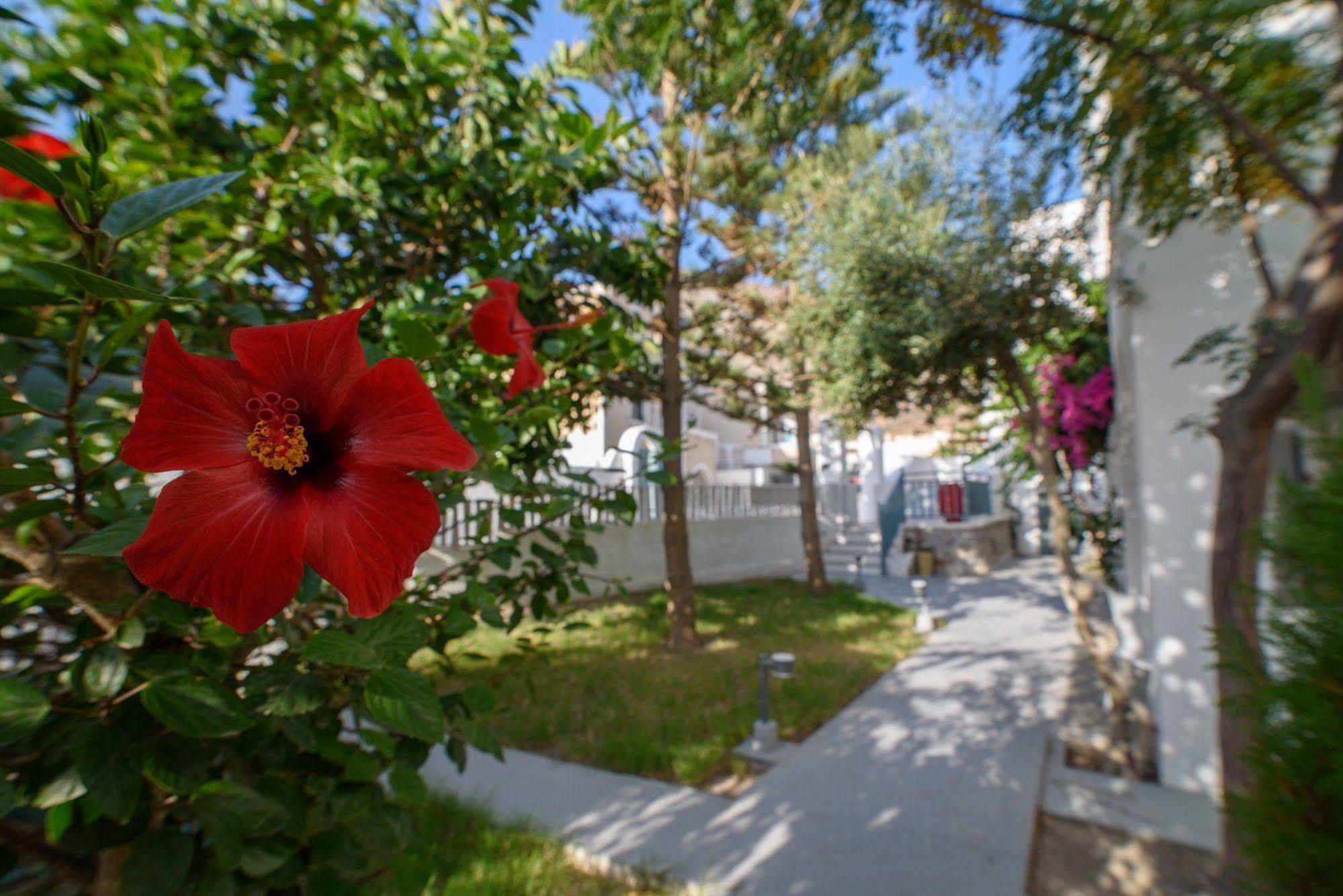 Kamári Iris Boutique Hotel מראה חיצוני תמונה